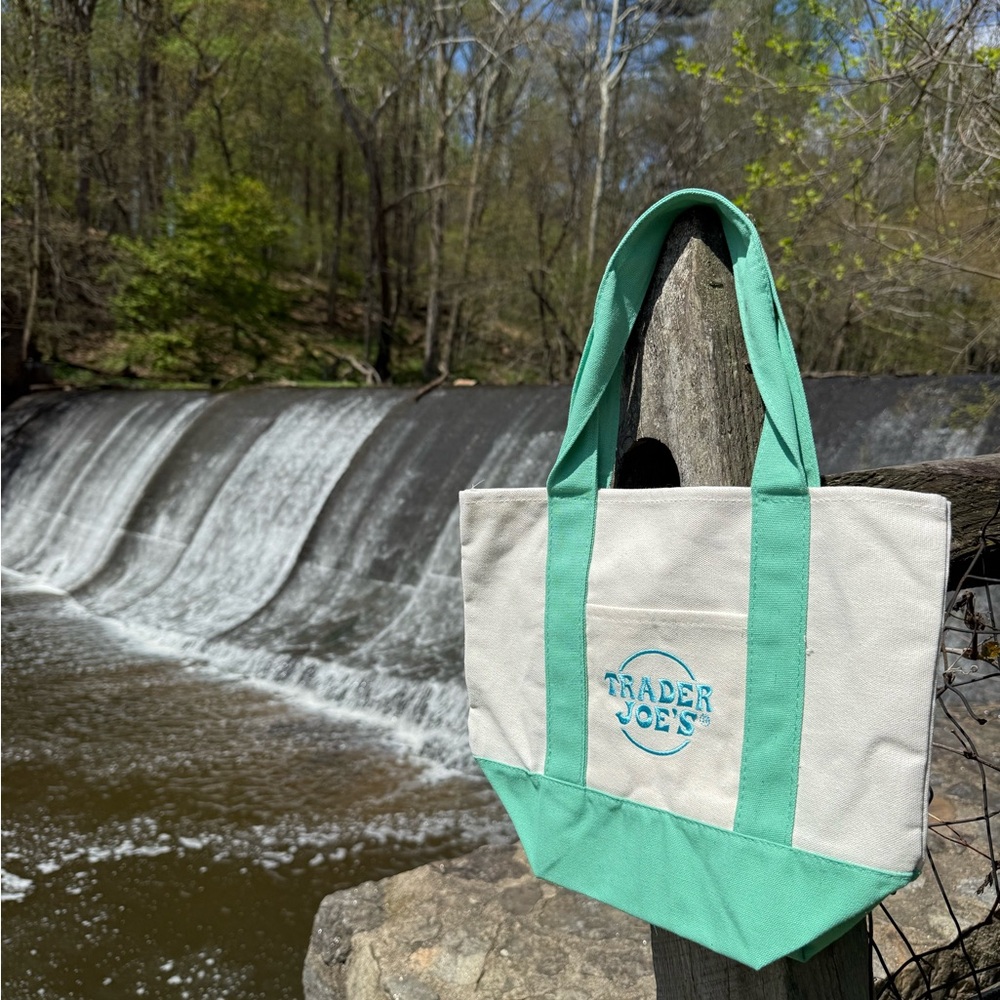 Trader Joe’s mini canvas totes